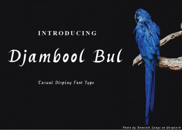 Djambool Bul Font: Relaxed Elegance for Campaigns